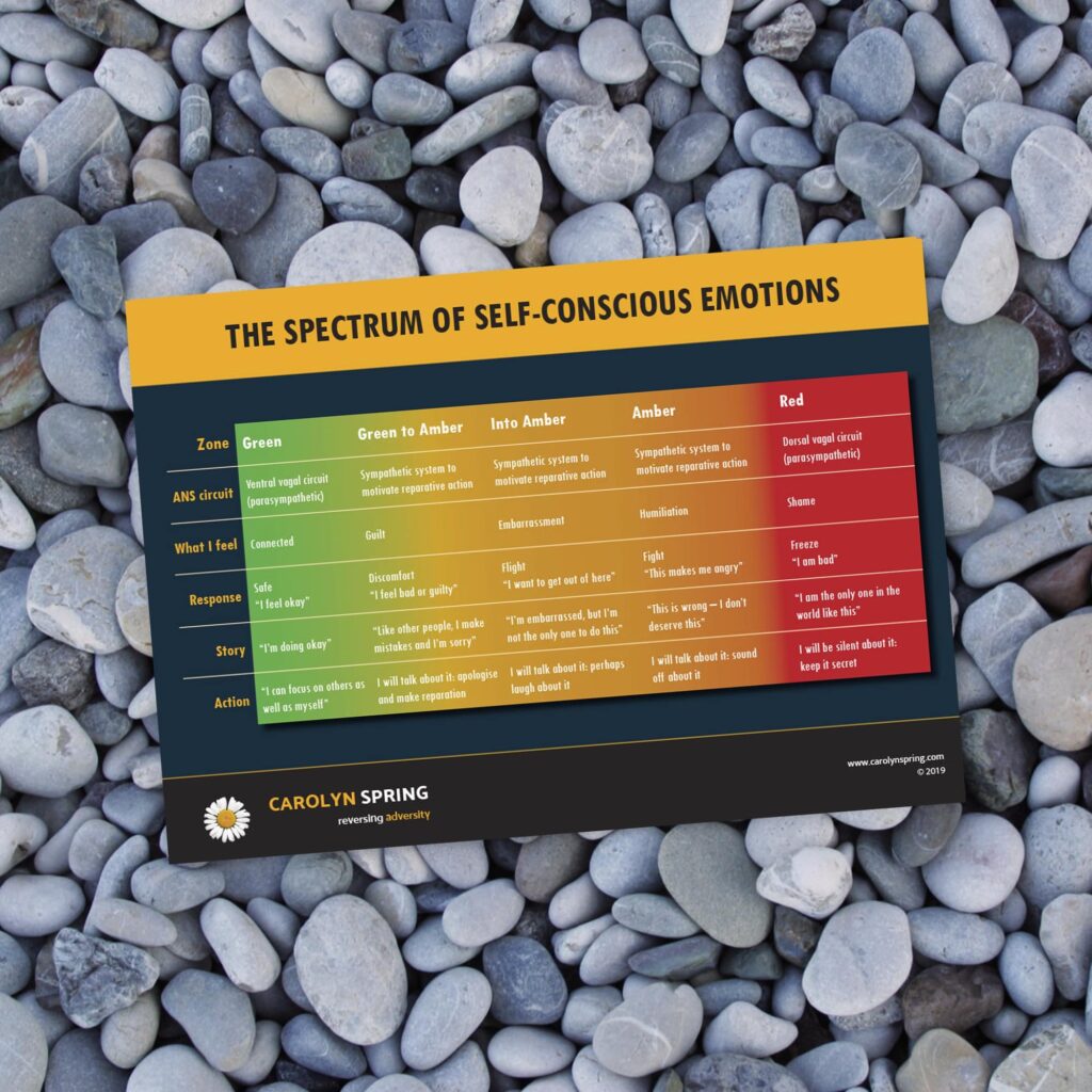 the-spectrum-of-self-conscious-emotions-poster-carolyn-spring